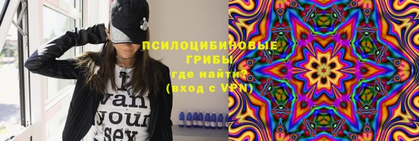 дживик Абинск