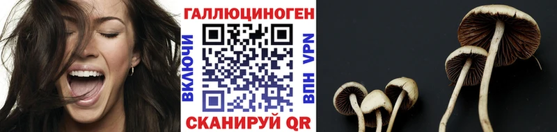 Псилоцибиновые грибы MAGIC MUSHROOMS  Урень 